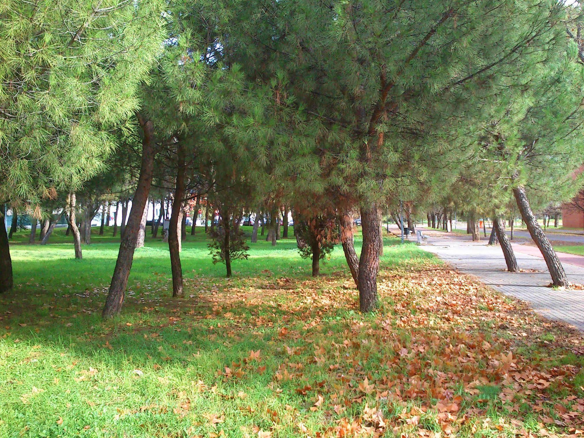 Residencia Universitaria Resa Giner De Los Rios Alcala de Henares Luaran gambar